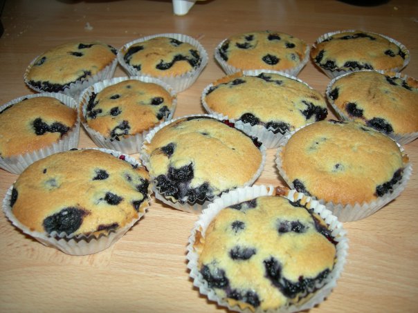 Blueberry Muffins